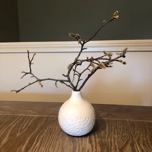 Crate & Barrel Lucy vase